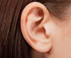 Where does Earwax come from?