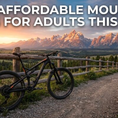 Best Affordable Mountain Bikes for Adults This Year
