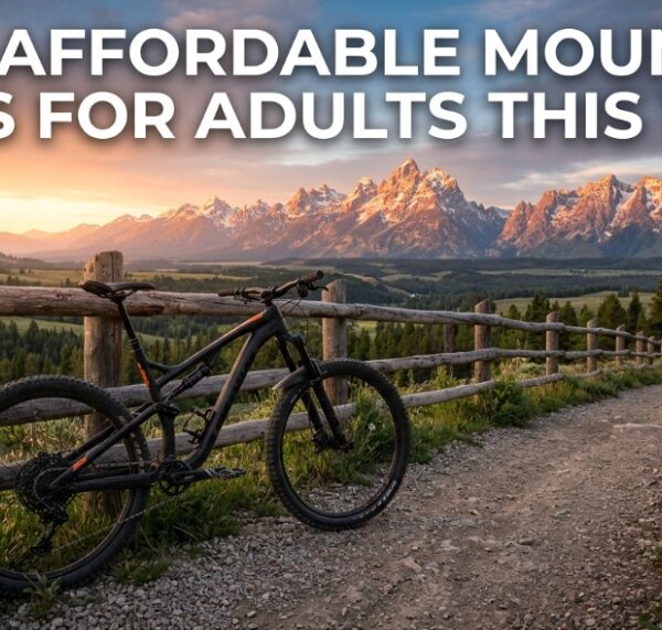 Best Affordable Mountain Bikes for Adults This Year